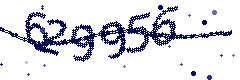 Image with the verification code