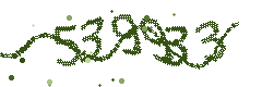 Image with the verification code