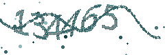 Image with the verification code