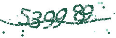 Image with the verification code