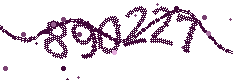 Image with the verification code