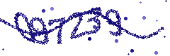 Security verification code