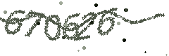 Image with the verification code