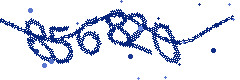 Image with the verification code
