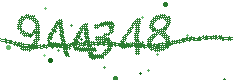 Image with the verification code