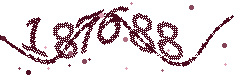 Image with the verification code