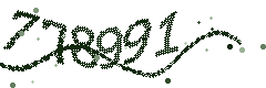 Image with the verification code