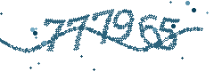 Security verification code