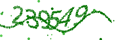 Image with the verification code