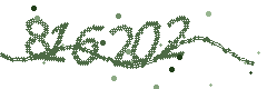 Image with the verification code