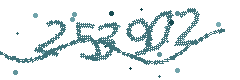 Security verification code