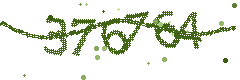 Image with the verification code