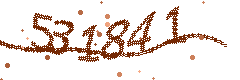 Image with the verification code
