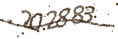 Image with the verification code