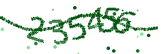 Image with the verification code