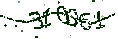 Image with the verification code