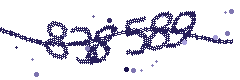 Image with the verification code