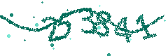 Image with the verification code