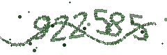 Image with the verification code