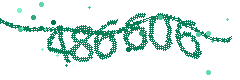 Image with the verification code