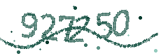 Security verification code