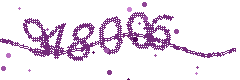 Security verification code