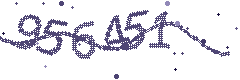 Image with the verification code