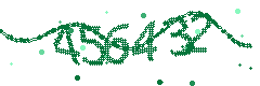Security verification code