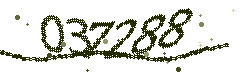 Image with the verification code