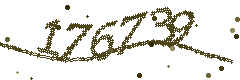 Image with the verification code