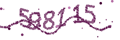 Image with the verification code