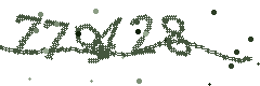 Security verification code