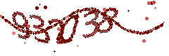 Security verification code