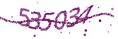 Security verification code