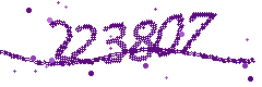 Image with the verification code