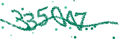 Security verification code