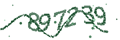 Image with the verification code