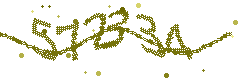 Image with the verification code