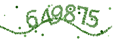 Image with the verification code