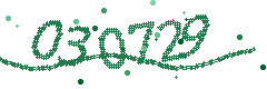 Image with the verification code