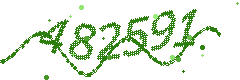 Image with the verification code