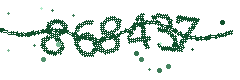 Image with the verification code