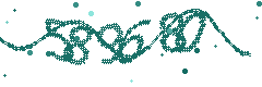 Image with the verification code