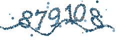 Security verification code