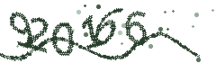 Image with the verification code