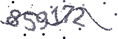 Image with the verification code