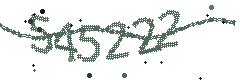 Security verification code