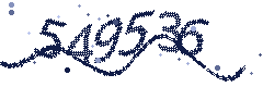 Image with the verification code