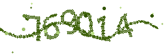 Security verification code