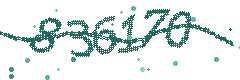 Security verification code